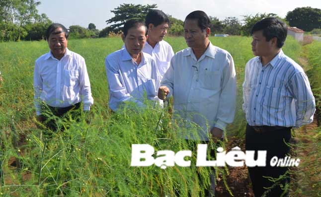 Ban chỉ đạo Tây Nam bộ làm việc với tỉnh Bạc Liêu về kết quả thực hiện chương trình mục tiêu quốc gia xây dựng nông thôn mới